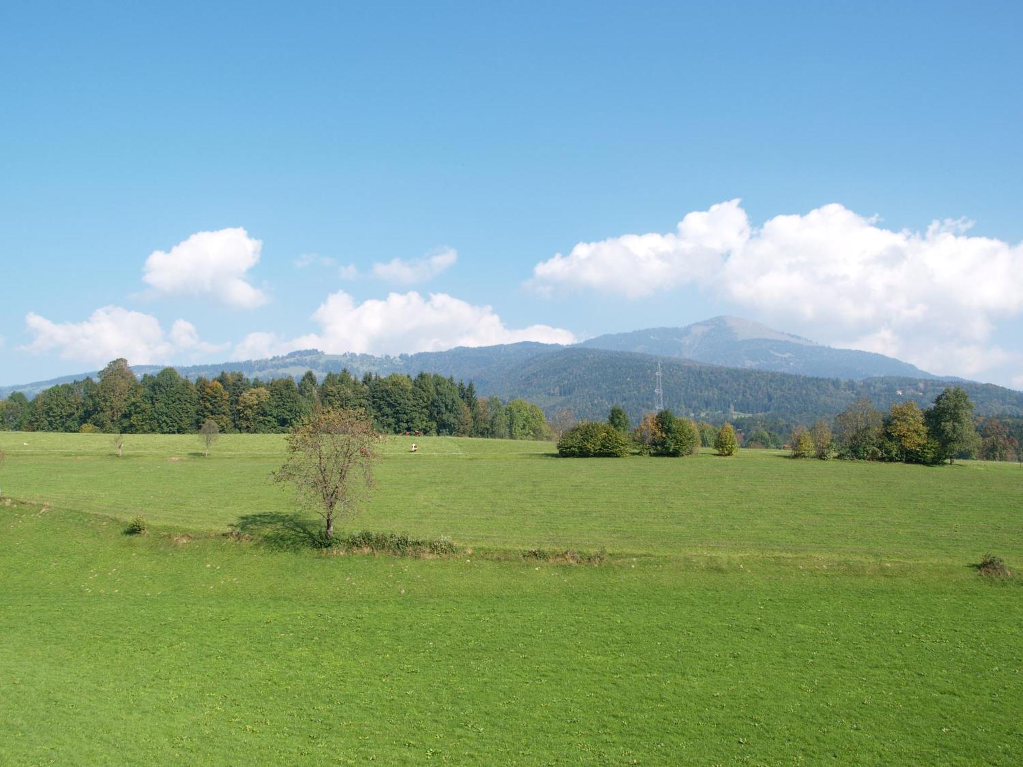 Neuwirt - Boutiquehotel & Wirtshaus Bad Vigaun Kültér fotó