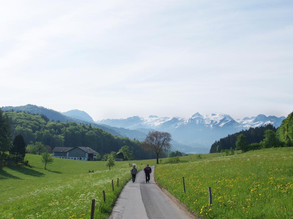 Neuwirt - Boutiquehotel & Wirtshaus Bad Vigaun Kültér fotó
